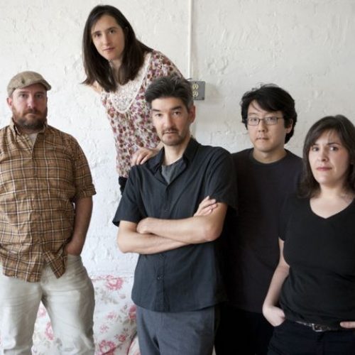The Magnetic Fields
